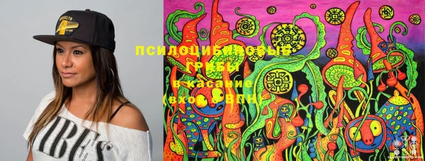 синтетический гашиш Белокуриха