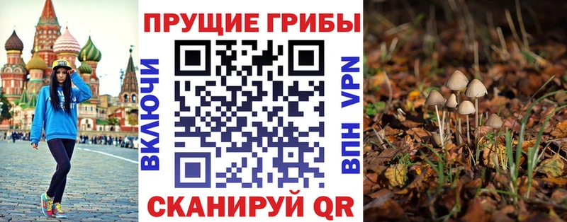 shop наркотические препараты  где купить   Няндома  Псилоцибиновые грибы мицелий 